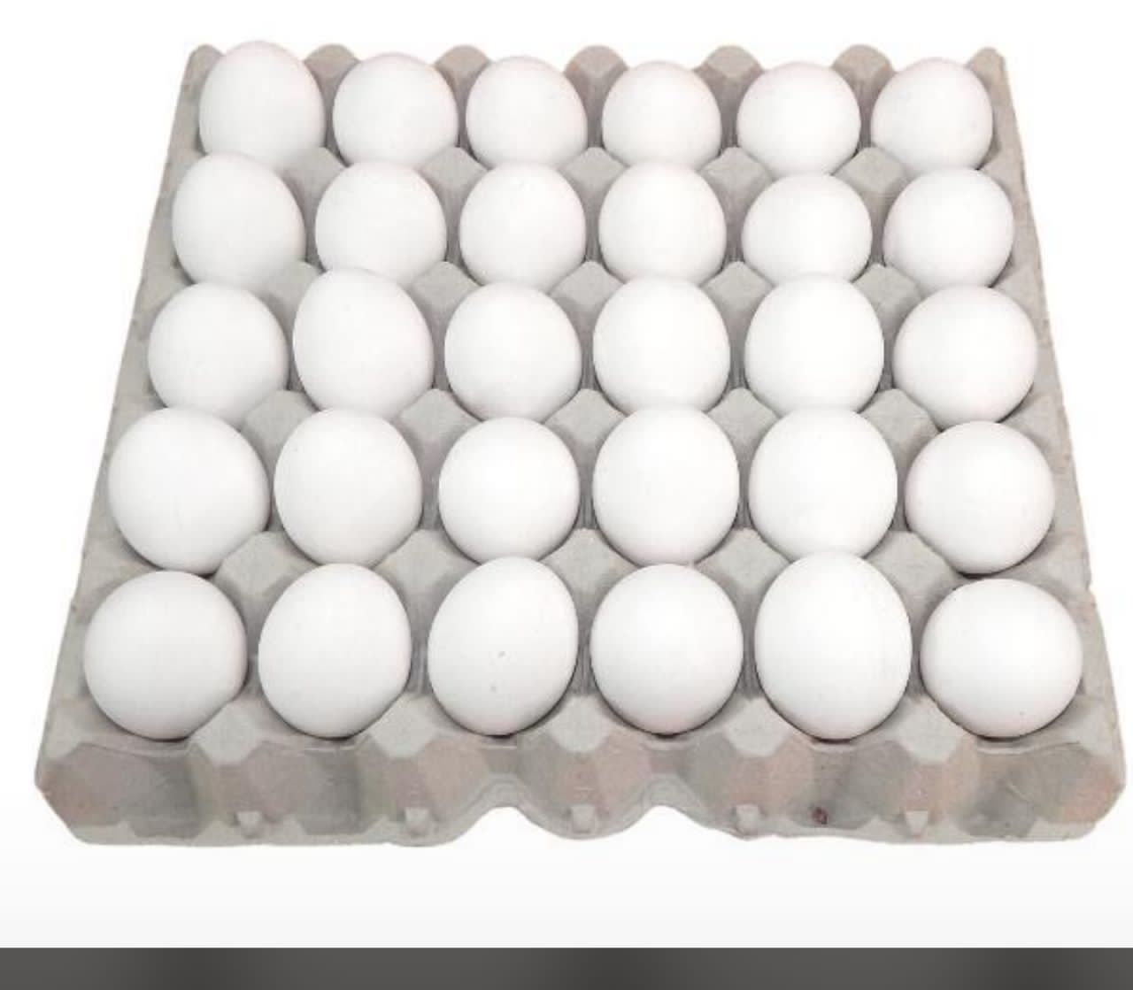 Cartón de huevos 🥚
